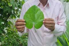 WhatsApp-Image-2024-09-24-at-15.33.45